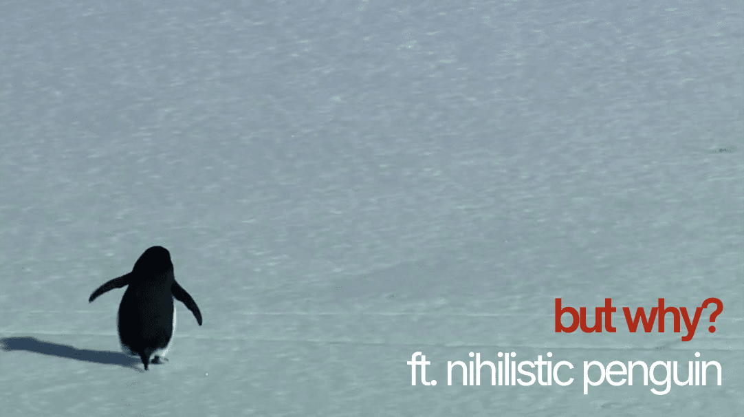 "but why," might be the most human thing to say cover